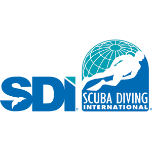 logotipo SDI